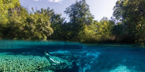 Hero Display Image   – provided by Visit Florida