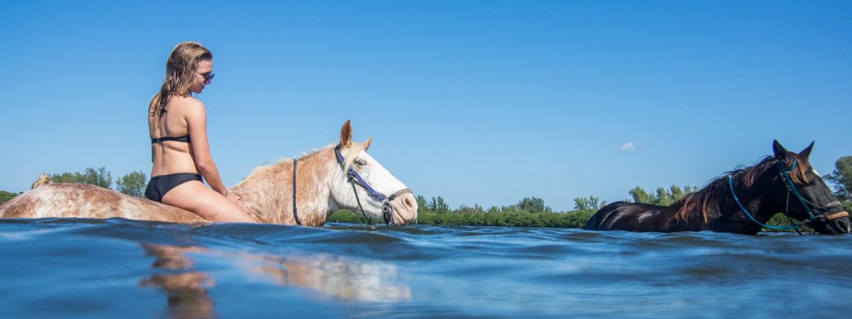 Horse Surfing bei Bradenton