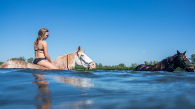 Horse Surfing bei Bradenton  – provided by Ian Wilson-Navarro_BACVB