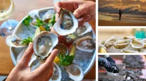 Hero Display Image   – provided by Discover Long Island