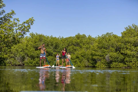 Hero Display Image   – provided by Punta Gorda/Englewood Beach Visitor & Convention Bureau