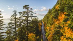 Chuckanut Drive Scenic Byway  | Chuckanut Drive Scenic Byway |   – provided by Visit Bellingham
