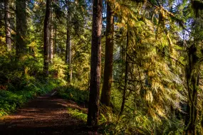 Hero Display Image   – provided by Edelweiss_Loren Bedeli