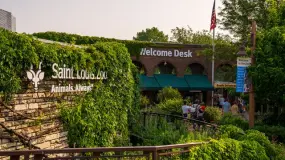 Hero Display Image   – provided by Explore St. Louis