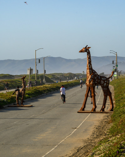 Hero Display Image   – provided by San Francisco Travel Association