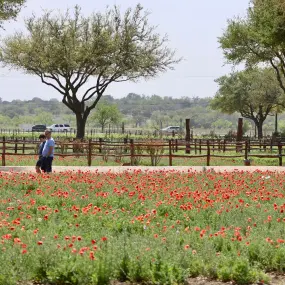 Hero Display Image   – provided by Visit Fredericksburg