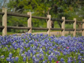 Hero Display Image   – provided by Visit Fredericksburg