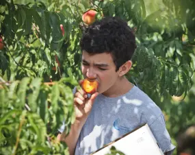 Hero Display Image   – provided by Visit Fredericksburg