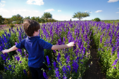 Hero Display Image   – provided by Visit Fredericksburg