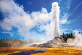 Hero Display Image   – Poul Riishede (iStock)