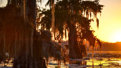 Hero Display Image  – provided by Louisiana Office of Tourism