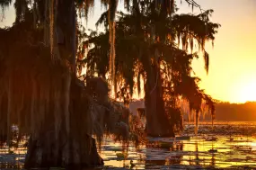 Hero Display Image   – provided by Louisiana Office of Tourism