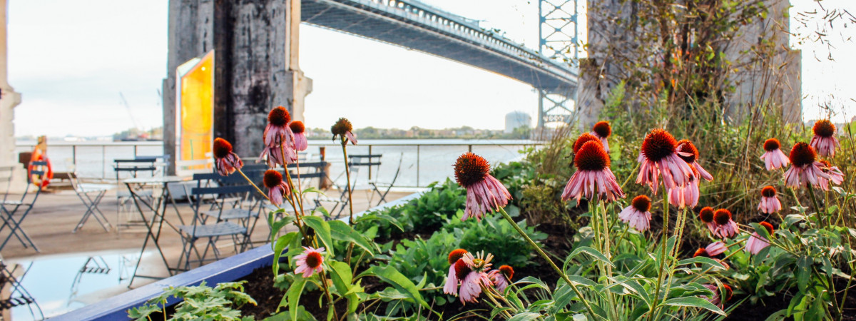 Cherry Street Pier