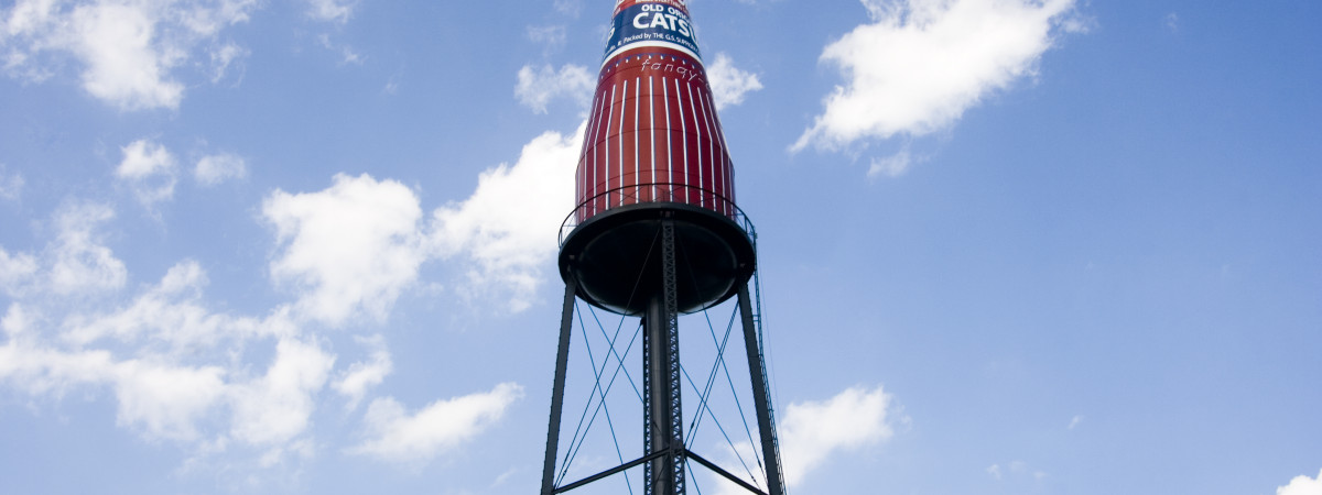 Catsup Bottle, Collinsville