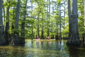 Hero Display Image   – provided by Illinois Office of Tourism