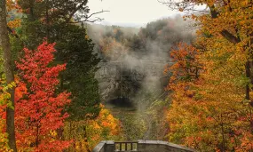 Hero Display Image   – provided by Visit Ithaca