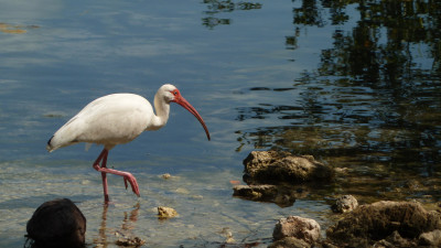 Hero Display Image  – provided by The Florida Keys & Key West