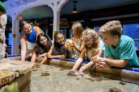 Besucher des Key West Aquariums in Key West, Florida, erleben am Touch Tank hautnah Seesterne und andere Meerestiere.  | Besucher des Key West Aquariums in Key West, Florida, erleben am Touch Tank hautnah Seesterne und andere Meerestiere. |   – Key West Aquarium