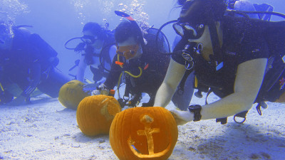 Hero Display Image  – provided by Mike Papish; Florida Keys News Bureau