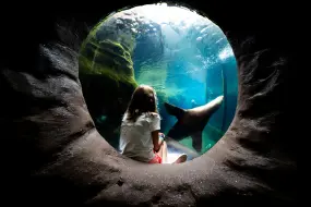 Hero Display Image   – Julian Harper