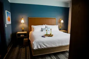 Hero Display Image   – Alex Shansky