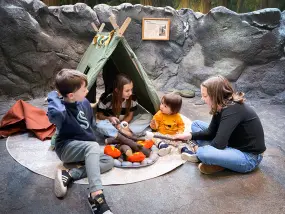 Hero Display Image   – Megan Ching (Visit Seattle)