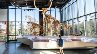 Das Burke Museum in Seattle, Washington  – (c) Visit Seattle
