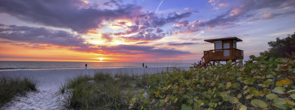 Coquina Beach Stragglers