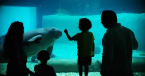 Hero Display Image   – provided by Bradenton Gulf Islands