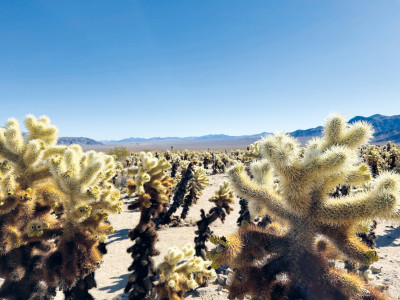 Hero Display Image   – provided by America Journal