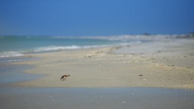 Hero Display Image  – provided by Fort Myers – Islands, Beaches and Neighborhoods