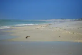 Hero Display Image   – provided by Fort Myers – Islands, Beaches and Neighborhoods