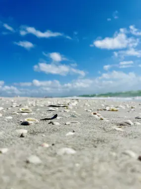 Hero Display Image   – provided by Fort Myers – Islands, Beaches and Neighborhoods