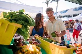 Hero Display Image   – provided by Fort Myers – Islands, Beaches and Neighborhoods