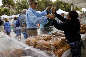 Hero Display Image   – provided by Fort Myers – Islands, Beaches and Neighborhoods