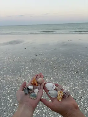 Hero Display Image   – provided by Fort Myers – Islands, Beaches and Neighborhoods