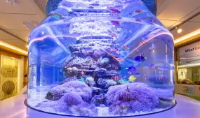 Hero Display Image   – provided by Fort Myers – Islands, Beaches and Neighborhoods