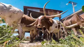 Hero Display Image   – provided by Faszination Fernweh