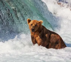 Hero Display Image   – provided by Faszination Fernweh