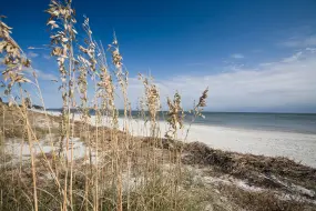 Daufuskie Island  | Daufuskie Island |   – provided by South Carolina Tourism