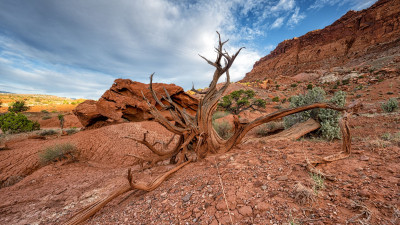 Hero Display Image  – provided by Utah Office of Tourism
