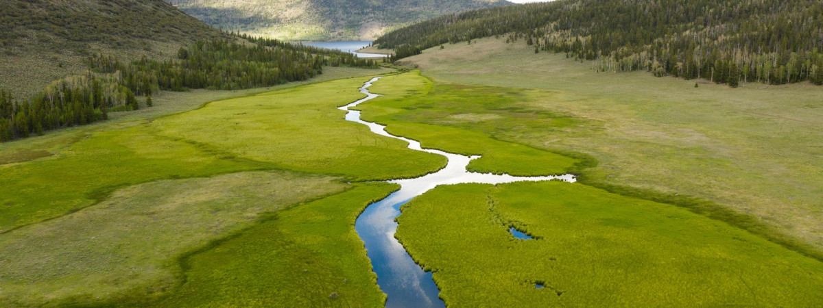 Fishlake National Forest