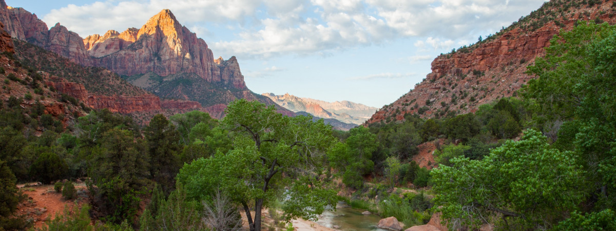 "The Mighty 5" Zion Nationalpark: Blick vom Virgin River aus zum Watchman