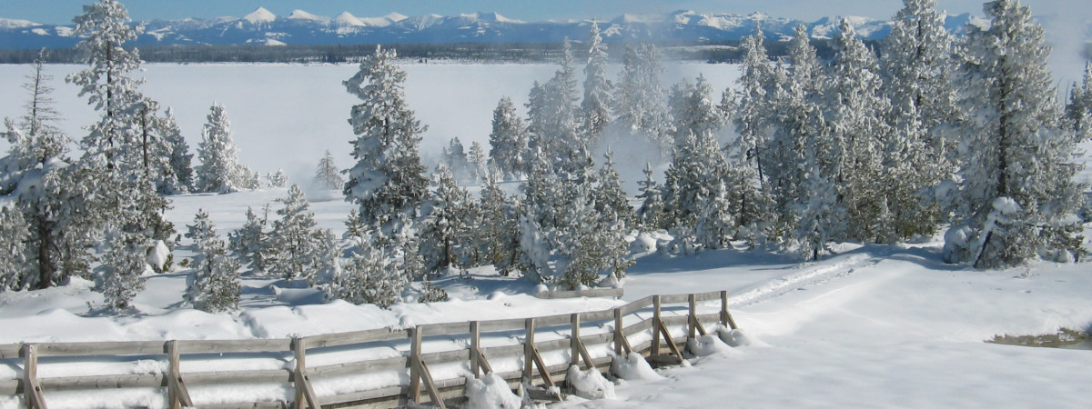 Yellowstone National Park - Winterwonderland