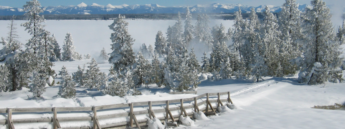Yellowstone im Winter _ Winterwunderland