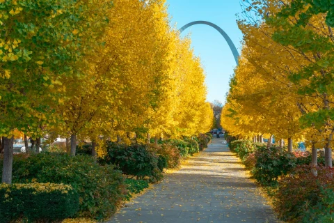 City Garden, St. Louis  | City Garden, St. Louis |   – provided by Visit Missouri