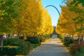 City Garden, St. Louis  | City Garden, St. Louis |   – provided by Visit Missouri