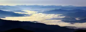 Die Smoky Mountains bei Sonnenaufgang, gesehen von der Newfound Gap.  | Die Smoky Mountains bei Sonnenaufgang, gesehen von der Newfound Gap. |   – provided by Tennessee Tourism