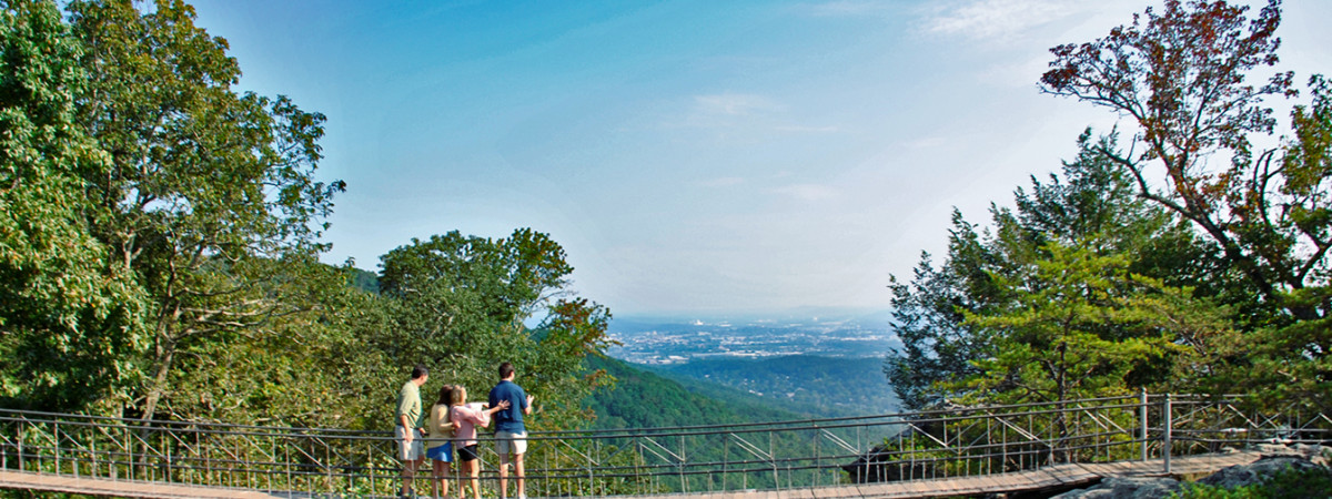 Swing-A-Long Bridge_Mountaintop Summers_Rock City (c) Tennessee Tourism