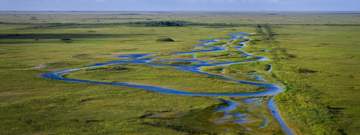 Everglades